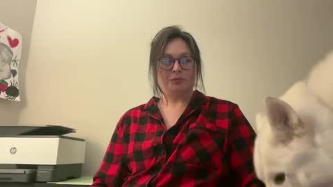 Jelli online show from January 25, 10:29 am