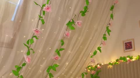 Joe online show from January 17, 4:53 am