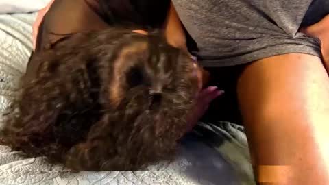 Juicy Teacher online show from September 14, 11:24 pm