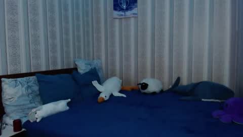 Julith online show from September 27, 3:03 am