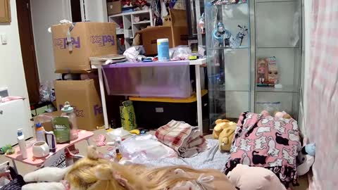 june999bunny online show from December 24, 2:12 pm