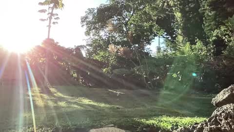 Kailee Smile online show from September 10, 3:28 am