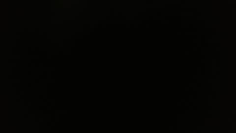 Kamelia  6 am-10 am  4 pm-6 pm online show from February 3, 10:47 am