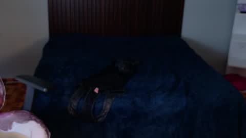Snapshot of kataleya_29 chatting on September 20, 8:40 pm kate online show from September 20, 8:40 pm