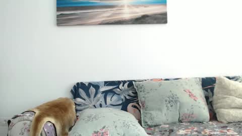 Sarah online show from September 26, 8:12 am