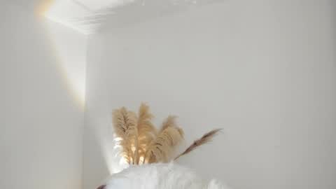 Kim Murphy online show from October 18, 12:30 pm