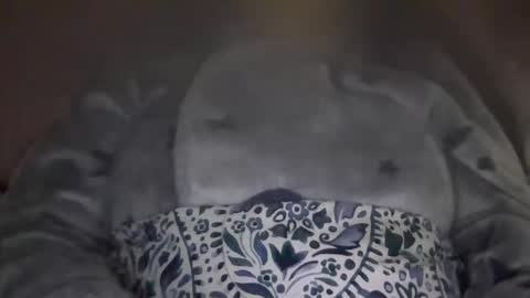 kissandtell1357 online show from October 24, 6:48 pm