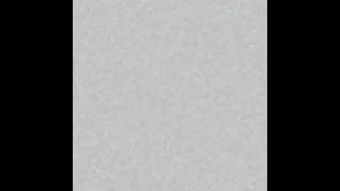  paola and a guest lol    online show from February 20, 8:50 am