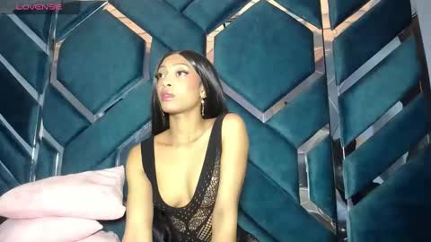 lea sewwtly online show from November 7, 1:17 pm