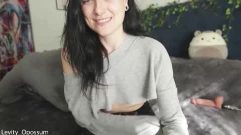 Levity online show from February 27, 11:26 pm