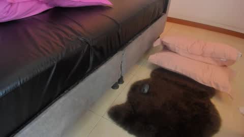 aleja online show from January 10, 8:48 pm