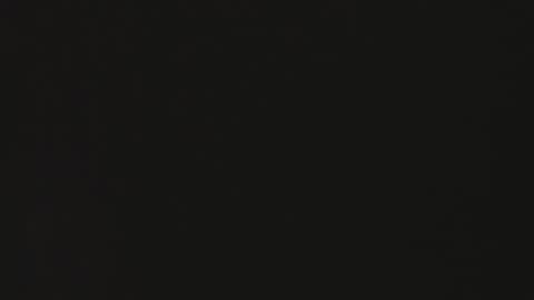 little_africa online show from November 2, 10:40 am