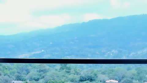 Lynx Mist online show from January 13, 9:52 pm