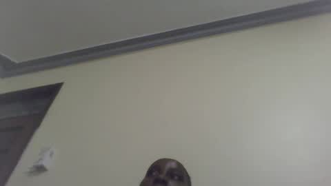 soniey online show from January 15, 7:01 pm