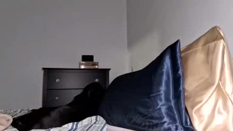 Abbeyswrld online show from October 5, 2:38 am