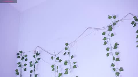 Lyly   online show from January 12, 5:34 am