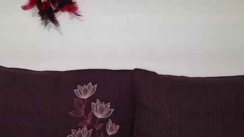 magic door open online show from October 30, 9:11 am