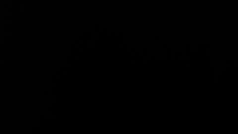 Alice Asylum online show from November 20, 4:02 am