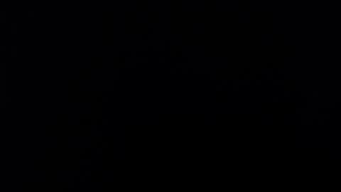 Alice Asylum online show from November 16, 3:52 am