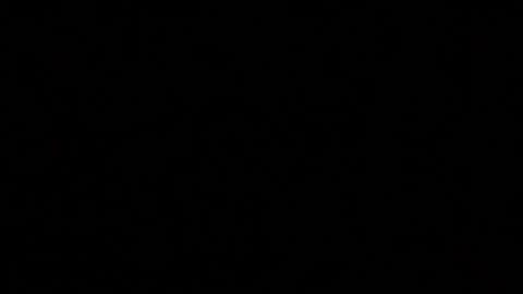 Elle online show from November 10, 6:03 pm