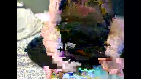 Martha online show from November 6, 7:03 am