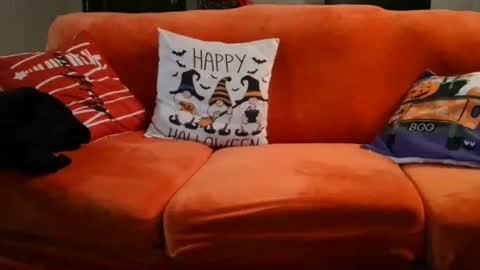 alex online show from November 4, 9:58 am