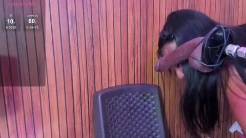 megan online show from March 9, 12:31 pm