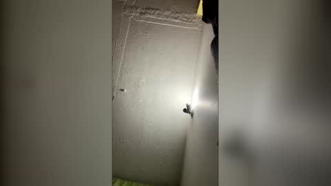 meghan_izell online show from December 2, 4:25 am