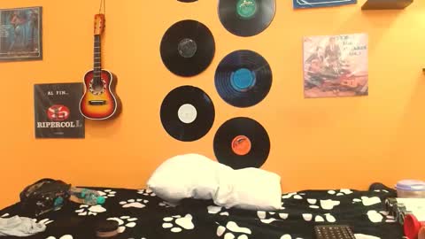 MEIS online show from October 8, 2:38 am