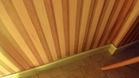 mia__blaze_ online show from December 20, 2:59 am