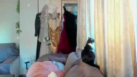 Snapshot of misslilymariaxo chatting on January 6, 1:19 pm Mistress Lily Maria online show from January 6, 1:19 pm