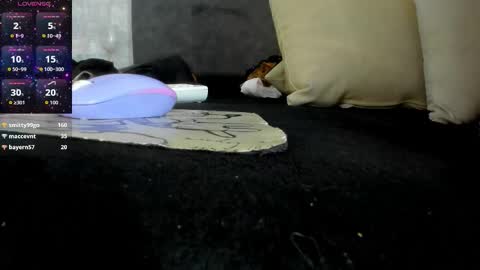 Missnatash online show from December 14, 8:03 pm