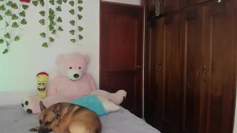 Snapshot of misstexass_ chatting on September 16, 8:28 pm  Natalie Texass indepedent model online show from September 16, 8:28 pm