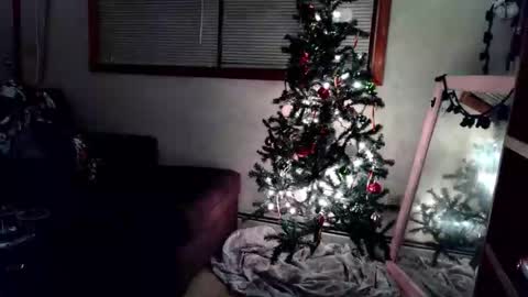 miswitxh online show from December 1, 4:38 am