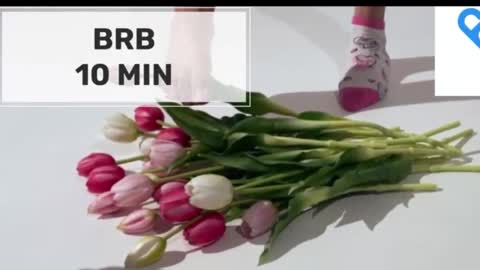 Mommy online show from December 22, 1:53 am