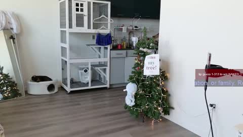 R o r i  SnapChat heyroriv2 wednesday - sunday Noon oclock mountain - 5pm mountain online show from November 5, 7:30 pm