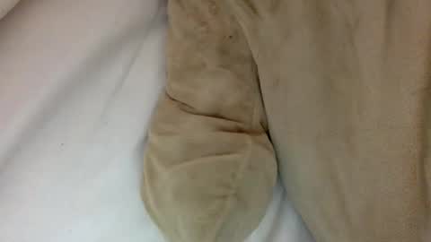   online show from January 29, 1:49 pm