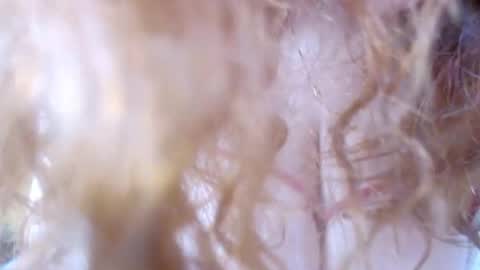 Mussa Hott online show from October 12, 12:35 am