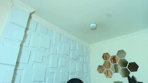 Kitten online show from November 17, 11:22 am