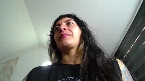 Kitten online show from December 17, 11:47 am