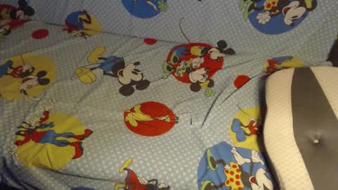 Lilly  online show from October 25, 3:03 am