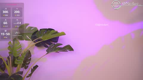 Dani 3 online show from November 25, 12:57 am