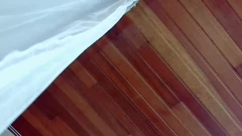 nicky_oli online show from March 2, 3:20 pm