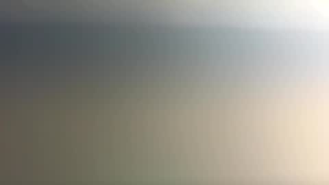 Nicoll  Independent model online show from December 21, 6:06 am