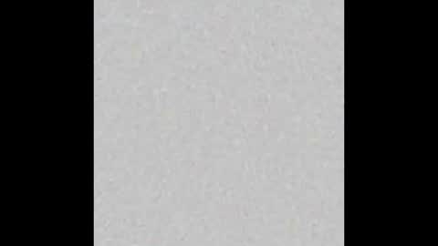 Nikki Ramone   online show from March 17, 10:08 am