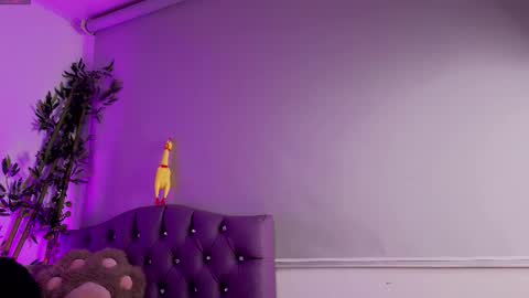   online show from January 11, 5:01 am