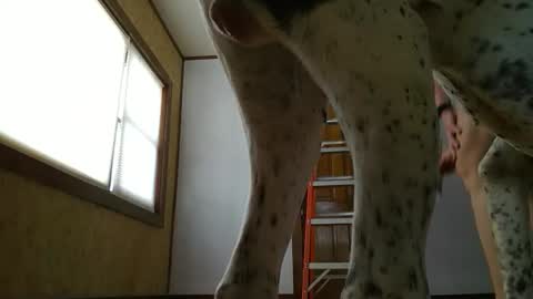 JJ online show from February 11, 7:59 pm