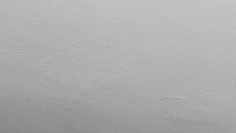 Pamela karim online show from February 1, 9:51 pm