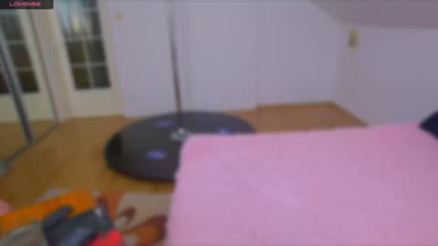 Snapshot of paradise_for_you_ chatting on January 31, 3:09 am Victoria online show from January 31, 3:09 am