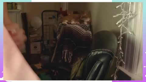 peakobunny online show from October 3, 4:39 am